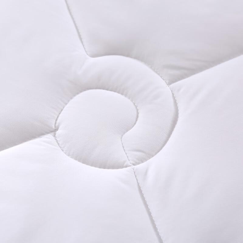 LOVO Lightweight All-Season Polyester Comforter