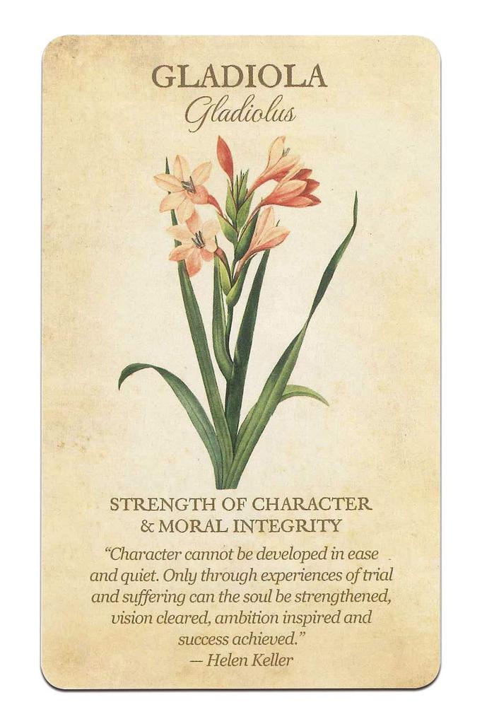 Nichiyu 44-Piece Oracle Card Set for Fortune Telling [Officially Imported] [Botanical Inspiration Set] Beautiful Floral Oracle Cards