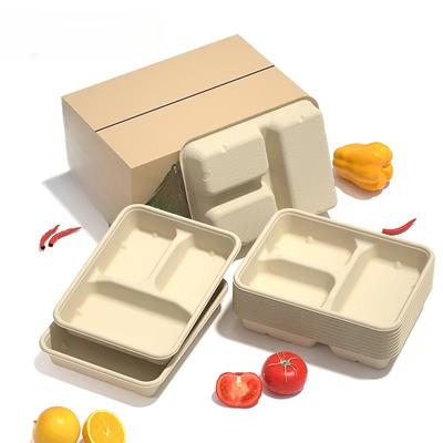 Disposable Biodegradable Fast Food Compartment Bento Takeaway Packaging Box Cold and Heat Resistant Water and Oil Repellent