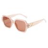 JYL TS Sunglasses Polygon Large Frame UV Street/89228