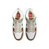 Nike Dunk High Lx Next Nature 'Toasty' Women's DN9909-100