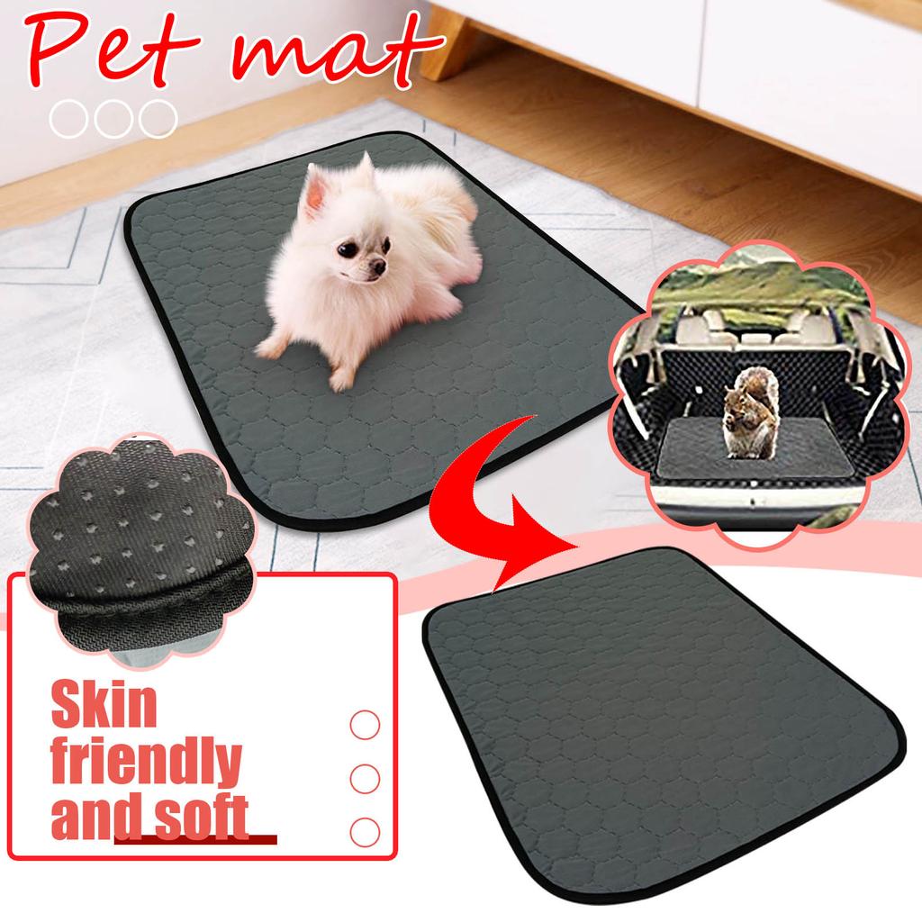 Buy 2pcs Washable Cleaning Mats for Guinea Pig,Hamsters, Rabbits