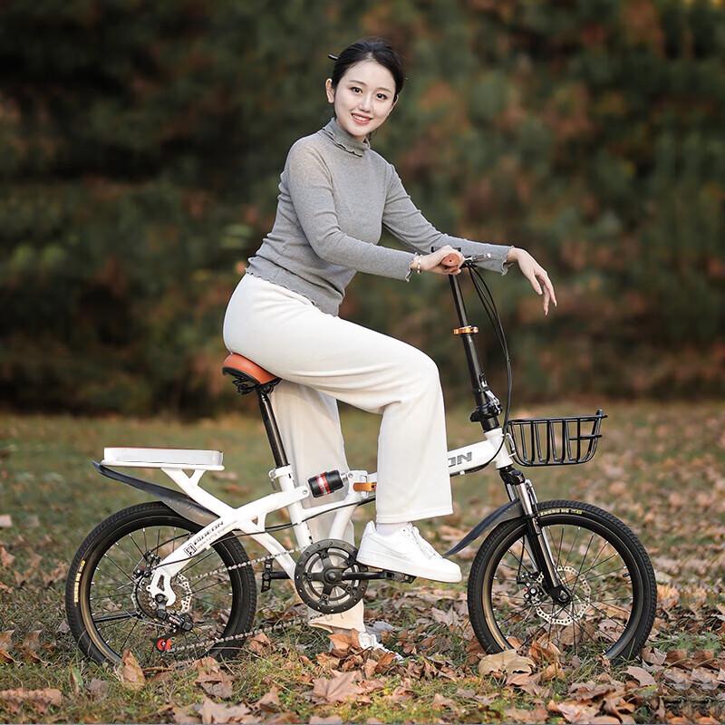 Feige Klokan F197003 20palcové jednorychlostní městské kolo