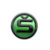 For SKODA Front and Rear Car Emblem  Sticker 80MM 90MM 100MM