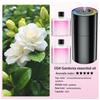 Xiaomi Rechargeable 7 color light Star Light 5 speed portable car Aromatherapy machine Essential oil diffuser Home Air Purifier Pro