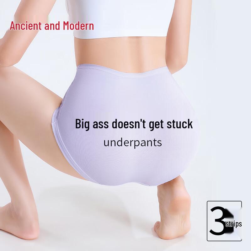 GUJIN Women's Plus Size High-Waist Cotton Briefs (3-Pack)