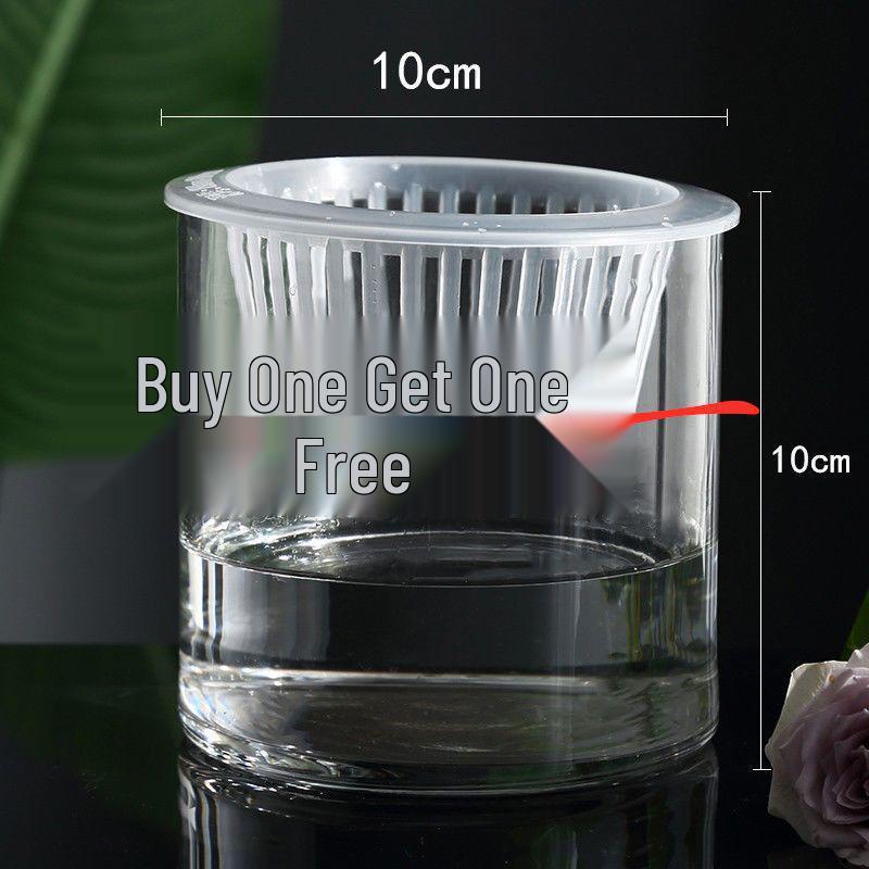 Hydroponic Glass Cylinder Vase for Pothos & Peace Lily - Transparent Water Culture Container with Free Shipping.