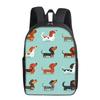 Volcano Dinosaur Print Single Layer Everyday Backpack Plain Style for Boys/Girls Youth Best Gifts 2D Flat Comic Learner Bags