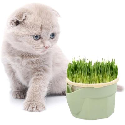 Opakovaně použitelná sada pro pěstování Microgreens Hydroponický podnos na odnožování trávy Okýnko pro kultivaci trávy pro kočky