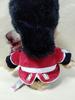 [USED] British souvenir, Royal Guard teddy bear, 2005, beautiful, guard