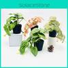 Simulation Epipremnum Aureum Potted Artificial Faux Plant For Wedding Events And Photo Shoots