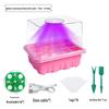 Multi-Color Seedling Box with High/Low Lid & Light for Home Balcony Gardening