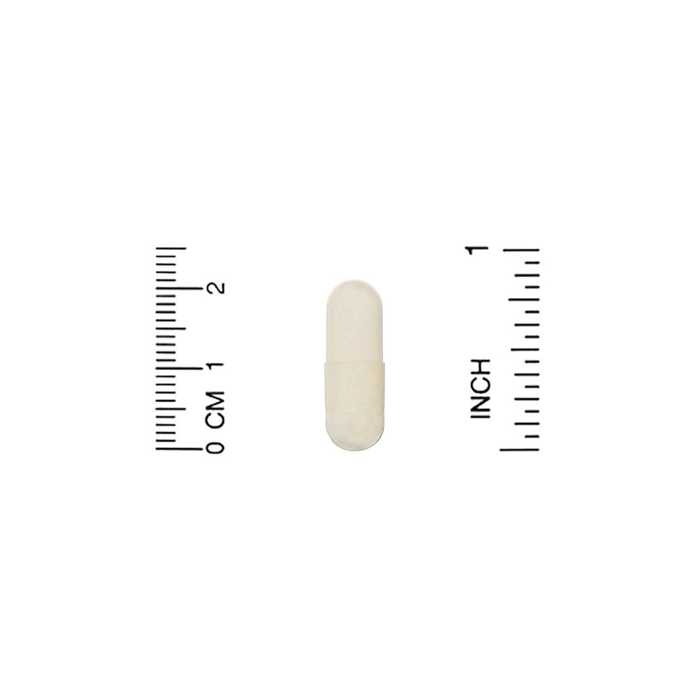 Organic India Ashwagandha Veggie Capsules, 90 Count