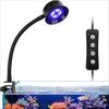 Pești și animale marine – Iluminare acvariu