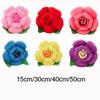 3D Throw Pillows INS Style Cushion Exquisite Rose Pillows  Home Decor