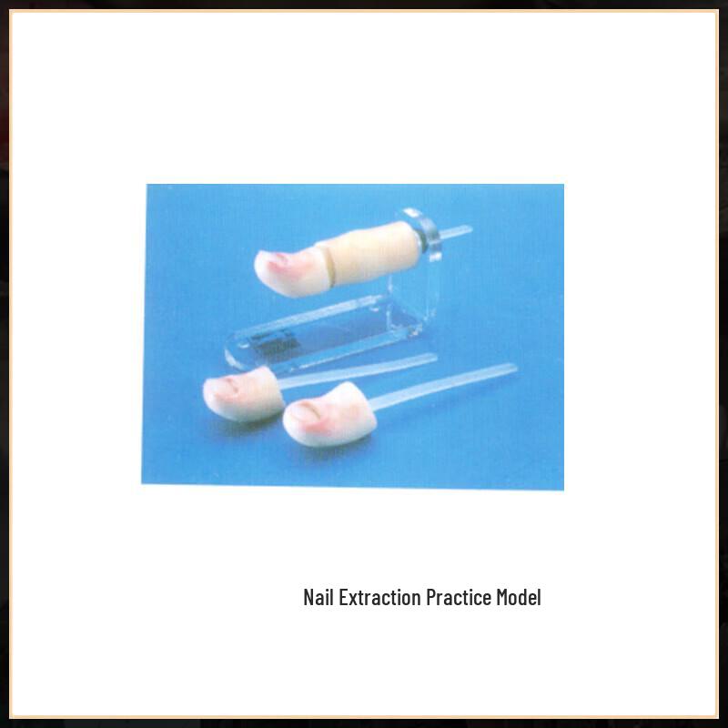 Medical Nail Extraction Practice Model
