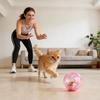 Interaktives Plüschtier Automatischer rollender Ball Hamster Realistisches elektrisches Haustier für Katze Hund Kaninchen Kind Mädchen Junge Haus Spielzimmer