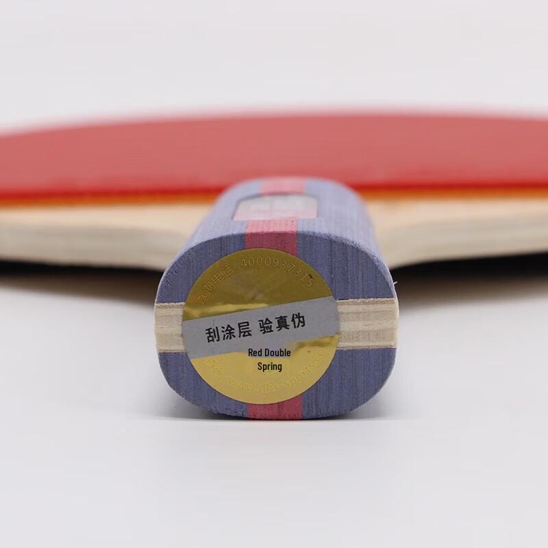 DHS 2-Star 7-Ply Wood Table Tennis Racket Set