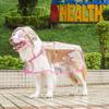 Medium Transparent Rain Poncho for Dogs - Large Dog Raincoat