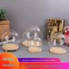 Luminous Wooden Base Glass Figurine with Preserved Flower and Dust Cover
