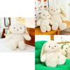 Tani Rabbit Stuffed Animal Plush Toy For Girls Sleep Pillow Birthday Gift