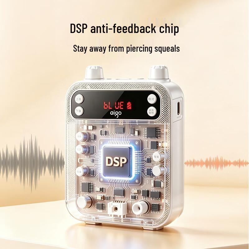 Aigo Portable Voice Amplifier for Teachers and Tour Guides (CN version)