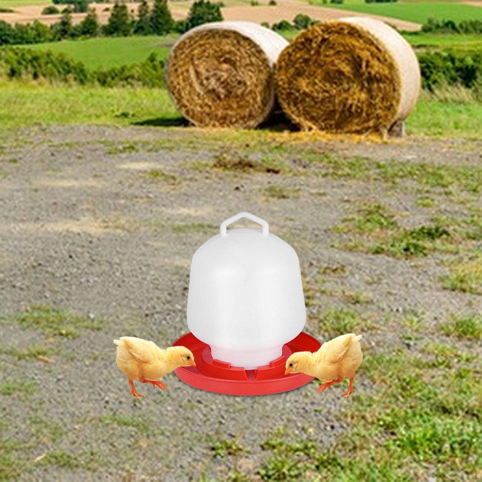 

Поилка для кур Подвесной большой диспенсер для воды с ручкой для переноски Поилка для перепелов для кур 8kg