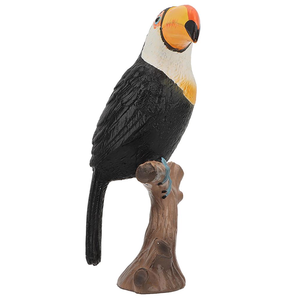 Lebensechtes Kinder Wildtier Tukan Modell Kunststoff Simulierte Spielzeug