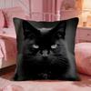 Black Cat Cute Cushion Cover Premium Comfort Reversible Pillow Cove Two In One Design For Any Room  Car Interior