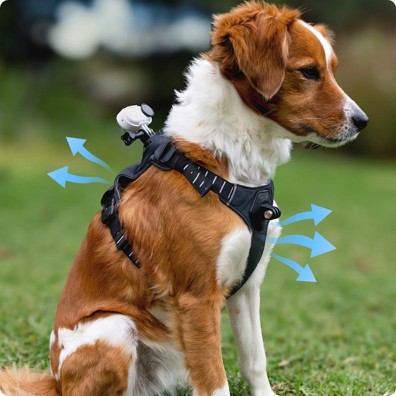 Insta360 GO 3\Go 3S  Pet Harness Mount  For Pet and Dog Original Accessories For Insta 360 GO3\GO3S
