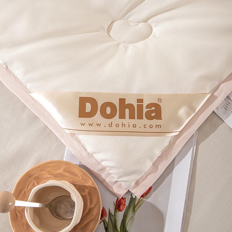 Duoxiai Jingya Klasse A Sojaprotein Ganzjahres-Bettdecken-Einsatz