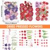 Dried Flowers Diy Pressed Flowers Stickers 104/96/94Pcs Real Natural Pressing Floral Leaves For DIY Making Art Decoration Home