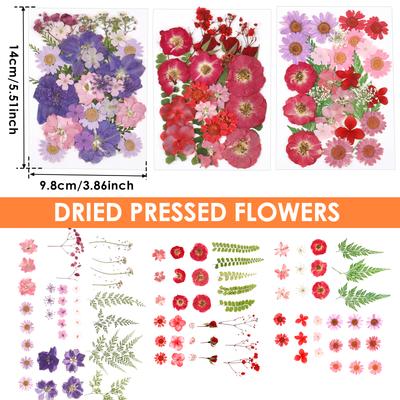Dried Flowers Diy Pressed Flowers Stickers 104/96/94Pcs Real Natural Pressing Floral Leaves For DIY Making Art Decoration Home