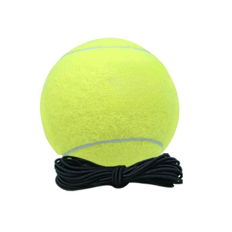 LISM Single-Player Tennis Rebound Trainer