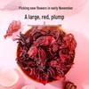 Qilixiang Dried Roselle Flowers