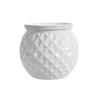 Self Watering Flowerpot with Transparent Bottle And Water Level View Self-Absorbing Cotton Rope Planter Double-Layer Flower Pot for Indoor Plants And
