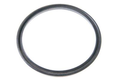 Servomechanismus-Dichtring (Manschette) C-385