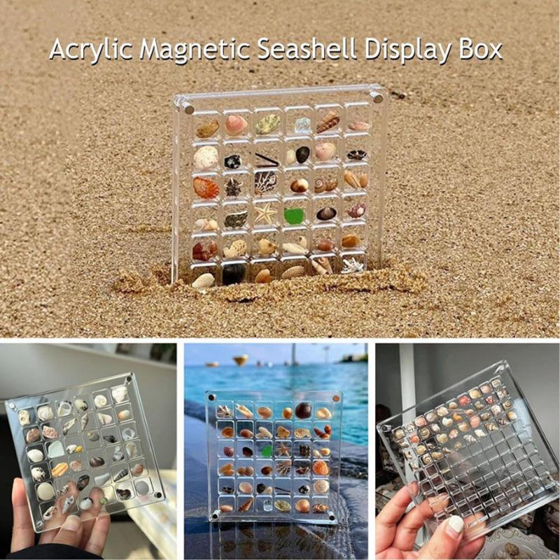 1PC New Creative Acrylic Transparent Shell Storage Box Seaside Stone Small Shell Collection Magnetic Storage Display Box
