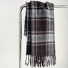 Plush Winter Cashmere Scarves Tassel Long Shawl Simple Plaid Wool Scarf  Student