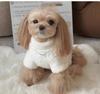 Abbigliamento Autunnale in Velluto per Cani di Piccola Taglia: Teddy, Bichon, Yorkshire, Pomerania, Barboncino