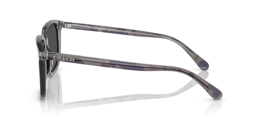 Sunglasses 0HC8411U TRANSPARENT GRAY 55 [Coach]
