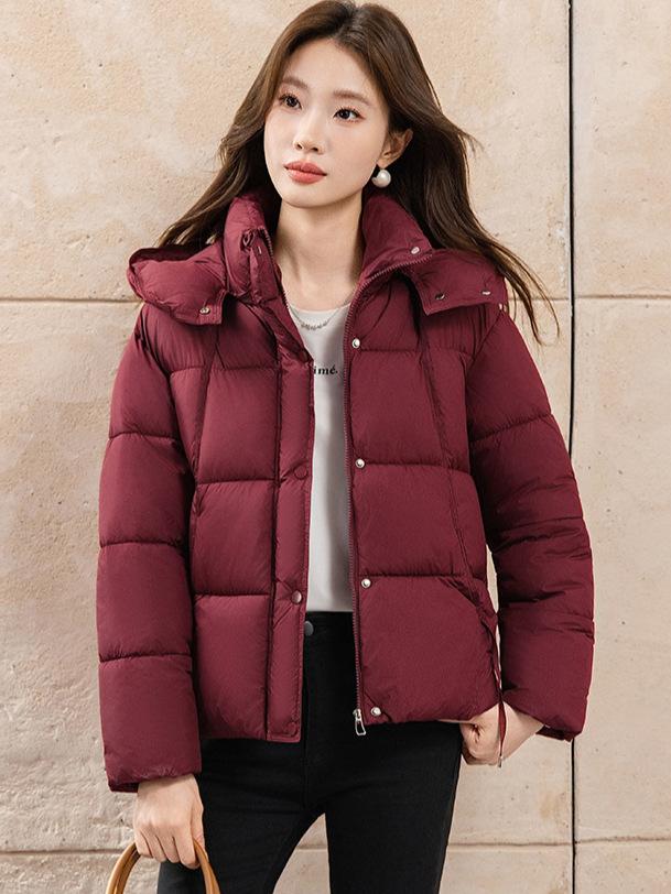 Short winter down cotton clothes women's new loose hooded bread clothes cotton coat