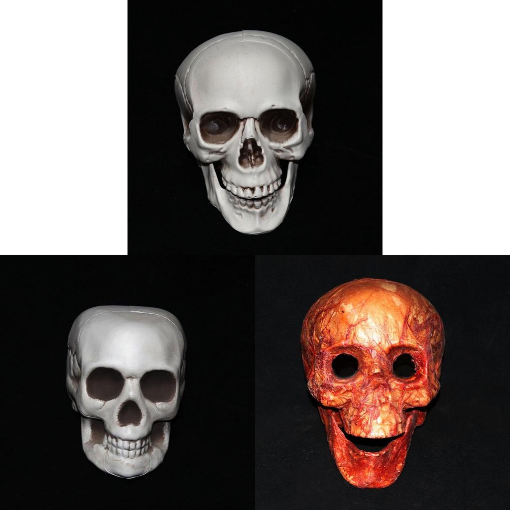 Decorazione Scena Teschio Scheletro Casa Infestata di Halloween Per Festa Spettrale