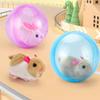 Built-in Plush Animal Interactive Cat Toy Transparent Hamster Chasing Ball  Training