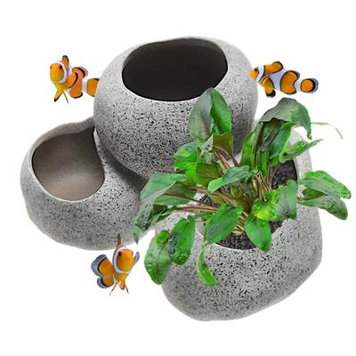 דגים ובעלי חיים ימיים – קישוטים לאקווריום