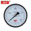 Fuyi Y-100Z Axial Pressure Gauge (CN Version)