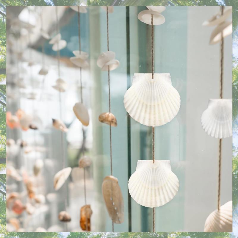 Premium-40 Stück Natürliche Muschelschalen 3,5-6 cm Weiße Kleine Meeresschalen Für Bastelarbeiten Basteln Muscheln Großhandel Echte Muscheln