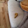 Fake Turd 6-Shape Design Realistic Disgusting Disgusting Fake Turd Prank Prop