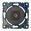 TV Socket, Black BETA ONNLINE