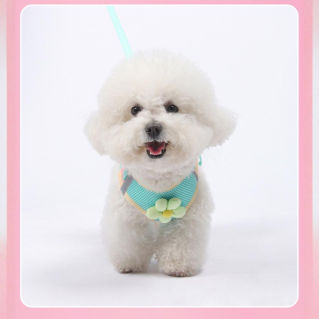 Blumennetz-Hund mit passender Leine, Leichte Haustierweste, Geeignet für kleine und mittelgroße Katzen und Hunde